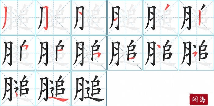 膇字怎么写图解