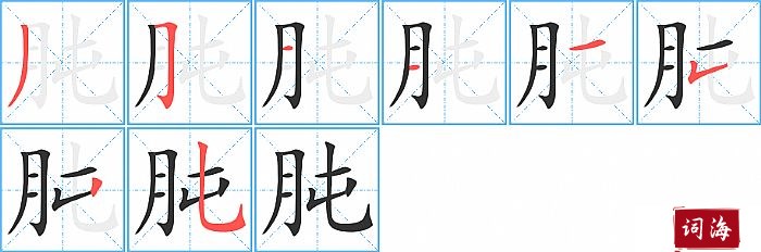 肫字怎么写图解