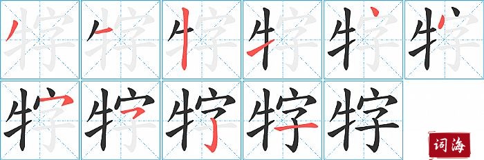 牸字怎么写图解